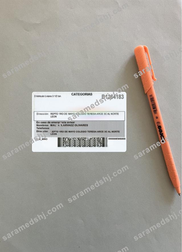 Nicaragua driving license photolook back